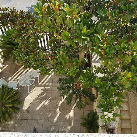 Bbda Fabio 3* Мартано